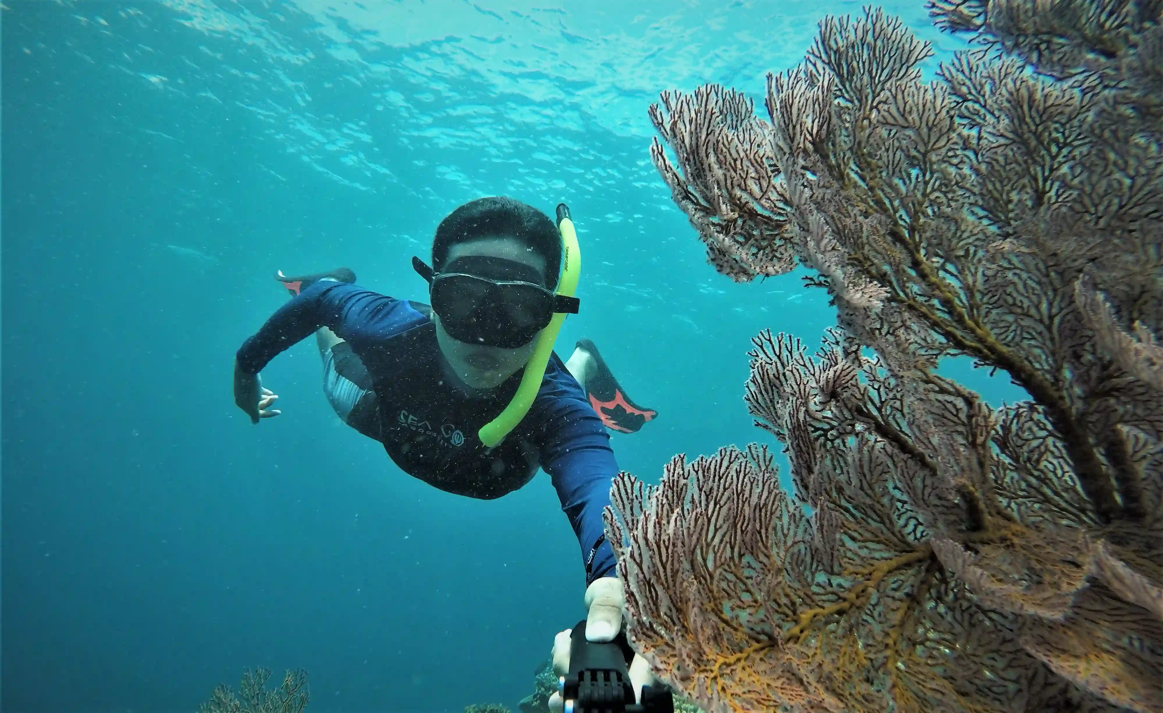 Diver exploring coral reef near Tulamben in North Bali