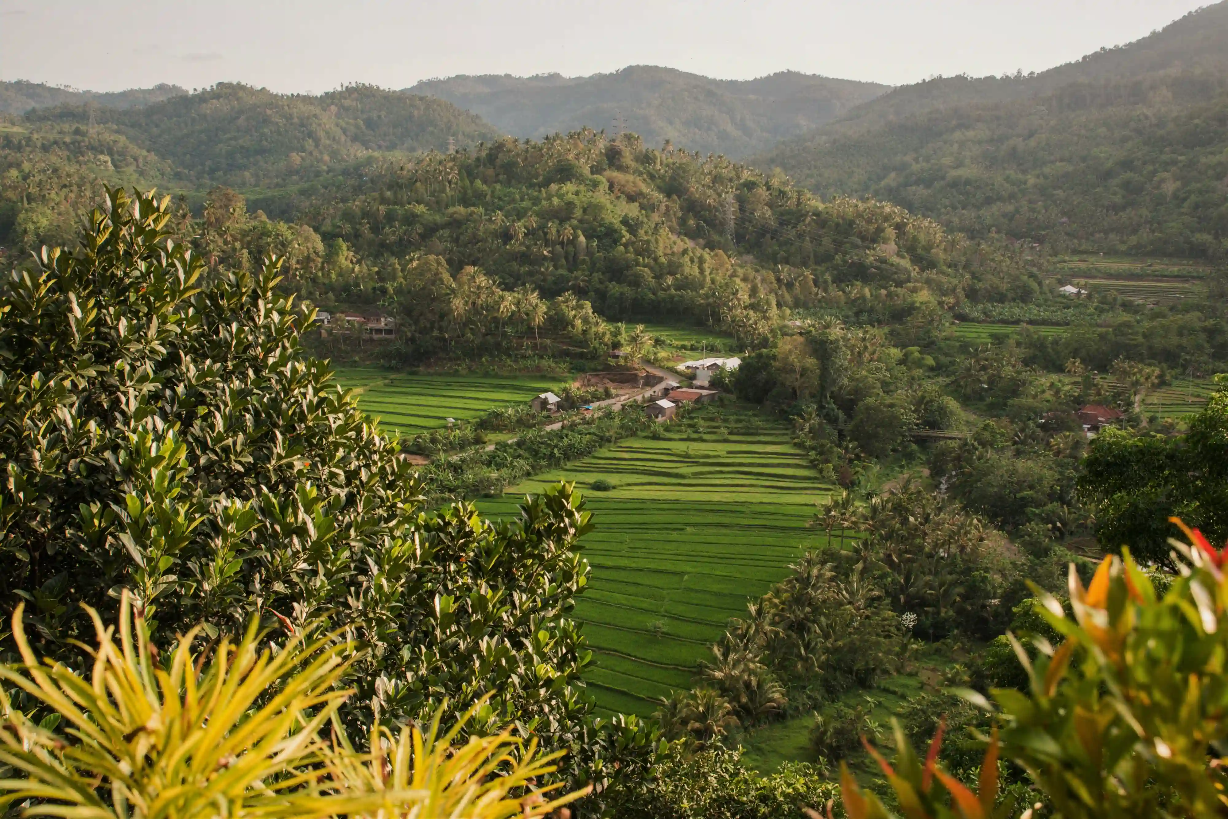 Exploring the neighborhood around Mayo Resort Bali