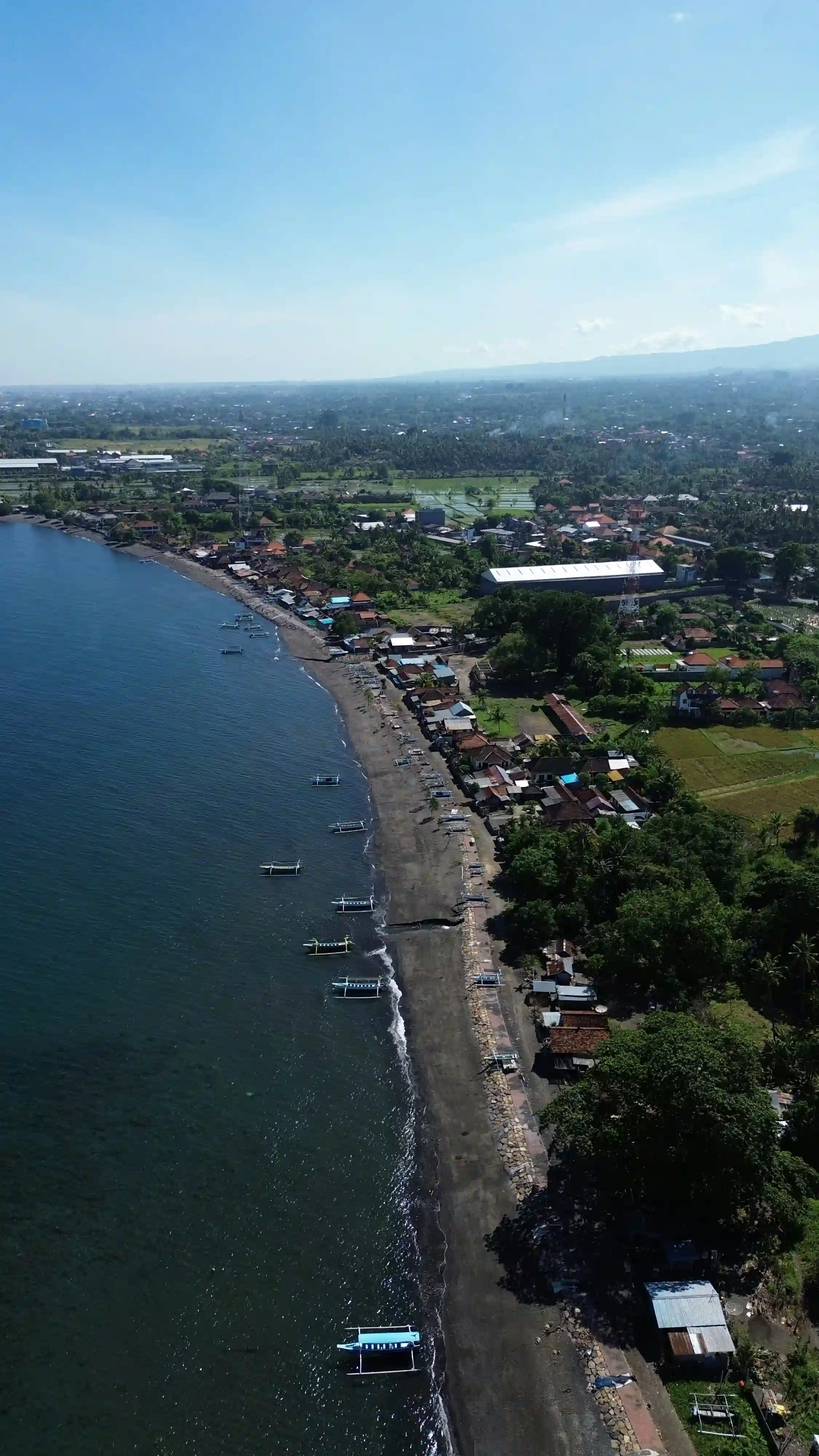 Aerial view of Lovina Beach's black sand coastline with fishing boats and rice fields.
